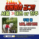 엔젤/주말중날짜.시간협의/서울＞＞대전or진주 이미지