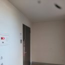 수목원우림필유아파트 | ( 용인 탄성코트 ) 용인시 수목원 우림필유 아파트 베란다 곰팡이 탄성코트 시공후기