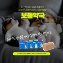 보듬동물약국 이미지
