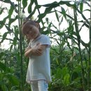 국현농장 이미지