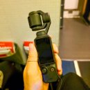 스카이드림투어 | 인천 출발 나트랑 항공권 특가로 다녀온 여행, 사막투어부터 호캉스