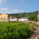 본동민박 이미지