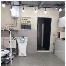 조은애견 이미지