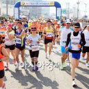 장흥생활체육공원 이미지