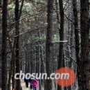 덕화약국 이미지