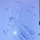 김은규산부인과의원 | 임신사전건강관리 지원 e보건소 산전검사 신청과 지급, 울산 남구 김은규 산부인과 후기