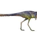 Sm Zone PC 이미지