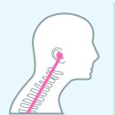 마디로한의원 이미지