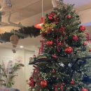 아메리칸 하우스 | 또또또간집💥 마포 [연남동 아메리칸 하우스]🇺🇸 강추 후기💛