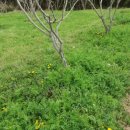 청전농장 이미지