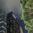 서울휴가 | 여름휴가로 다녀온 콘래드 서울 호텔 2박 3일 후기｜호텔나루와는 또 다른 가족 호캉스