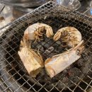 어쭈구리꼼장어
