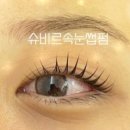 슈비르