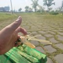 삼락생태공원 오토캠핑장 이미지