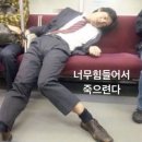 치항병원 이미지