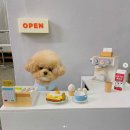 신사-101 이미지