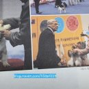 에이스종합학원