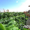 북진농장 이미지