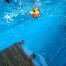 두리멍쉴 애견유치원 이미지