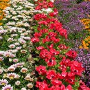 황룡강변2 이미지