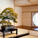 현지 여행 일본어(야간) 이미지