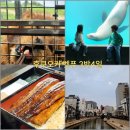 코끼리카서비스 | 🇯🇵 7살, 5살 남매 일본 3박4일 | 후쿠오카 벳푸 아이랑 렌트카 여행