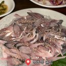 순순이회포차 | 광주 쌍촌동 술집 | 가성비 좋은 전어회 맛집 "순순이회포차"