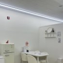 빈스브로우