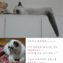 만듀