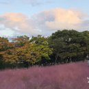 미사경정공원 이미지