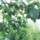 협성영농조합법인 이미지