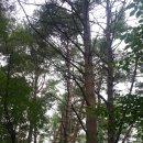 태화산파크 이미지