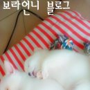 콩순이PC 이미지