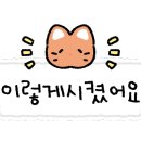 판암병수손만두 이미지