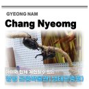 창녕박물관 | 경남 아이와 함께 실내 체험 창녕 곤충박물관 생태곤충원 방문 후기