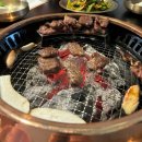 우테일러 이미지