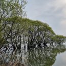 주남저수지 석산화장실 이미지