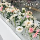 상수역 홍대 24시 가성비 무인꽃집 어컵오브