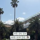 동문로 L 네이버블로그