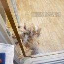 몰리스 놀이터/호텔 이미지