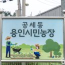 웬떡마을 이미지