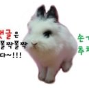 옹기종기 이미지