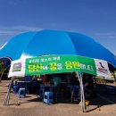 유리창 청소 하계 밴드 모임 베르아델 승마클럽에서