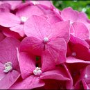 연담공원 이미지