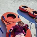 회원동262 | 겨울 아이와 홍천 눈썰매장 비발디파크 스노위랜드 입장권 할인 방문후기