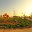 김해낙동강레일파크 이미지