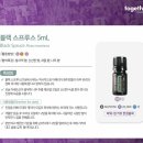 스프루스업 이미지