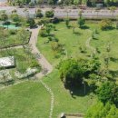 삼화운동장 이미지