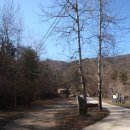 대성초교 이미지