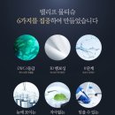 블루리프 이미지